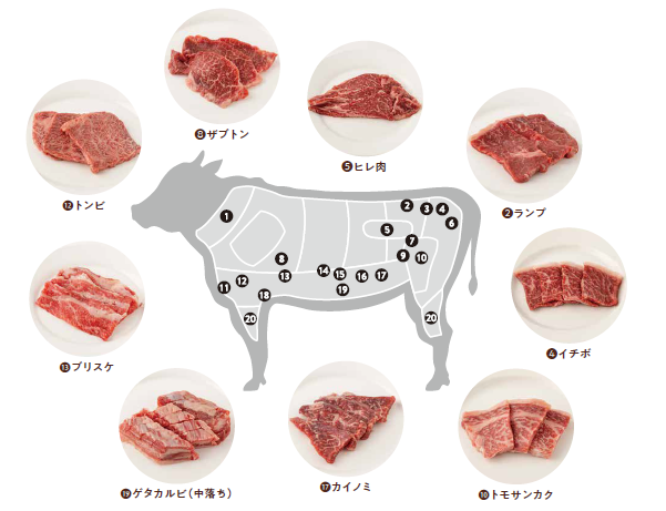 お肉をたべる お肉の栄養 部位図鑑とフードロスの減らし方まで 食zenラボ 食育コラム