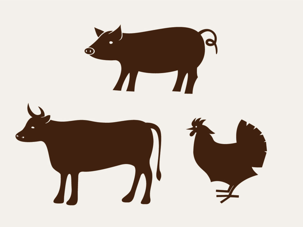お肉をたべる お肉の栄養 部位図鑑とフードロスの減らし方まで 食zenラボ 食育コラム