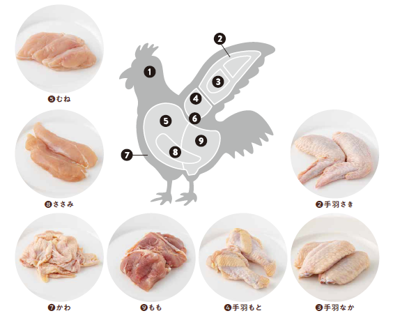 お肉をたべる お肉の栄養 部位図鑑とフードロスの減らし方まで 食zenラボ 食育コラム